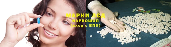 тгк Армянск