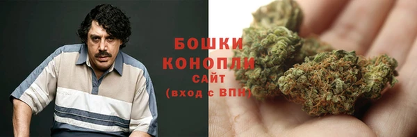 прущие крисы Арсеньев