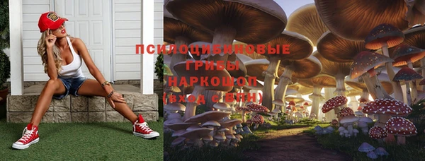 тгк Армянск